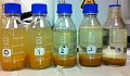 OIL wastewater decontamination